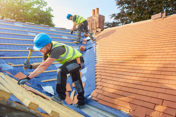 Best Solar Panel Roofing Installation  in Mcfarland, CA